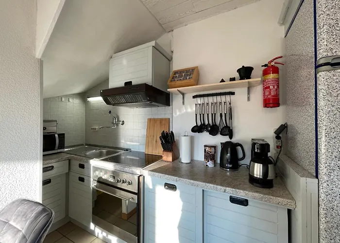 Apartment Moselgarten Zentral Grün Direkt An Der Mosel